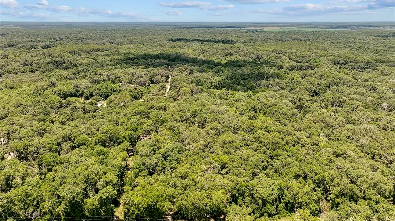 View of the property