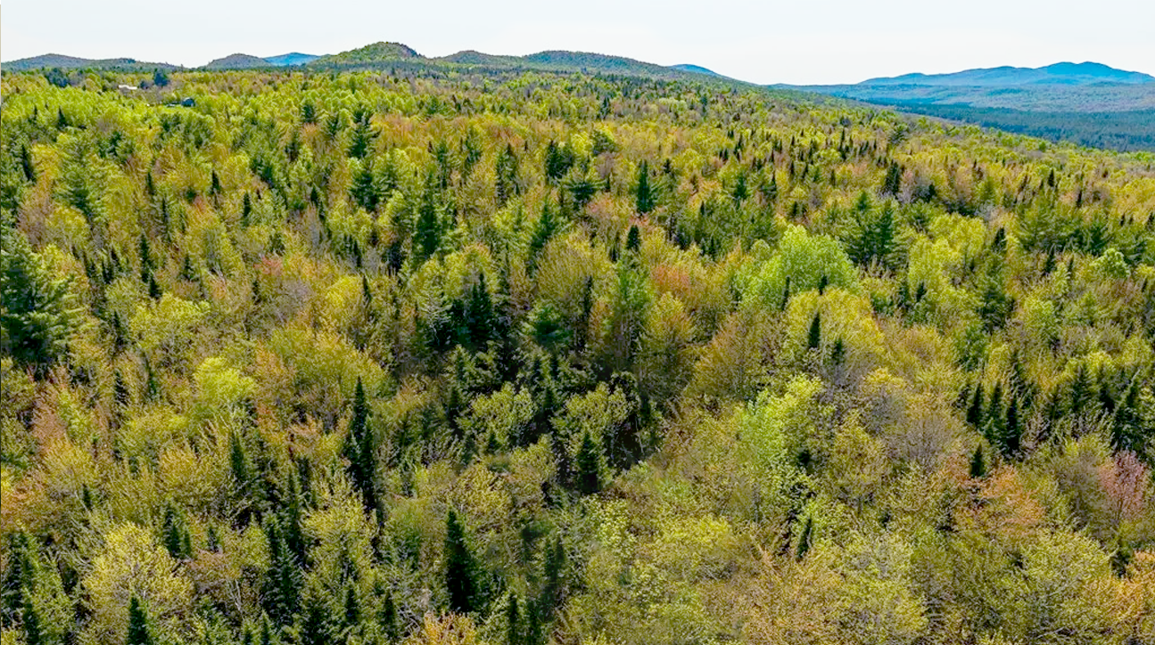 View of the property