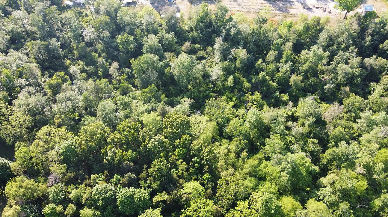 View of the property