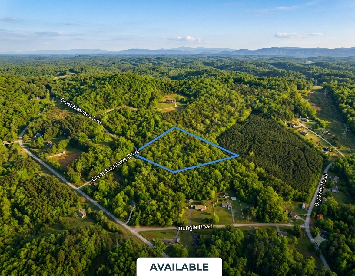 View of the property