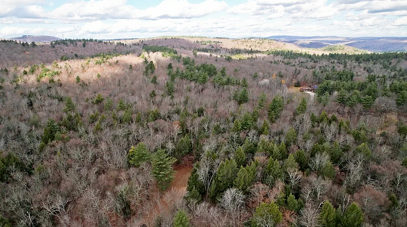 View of the property