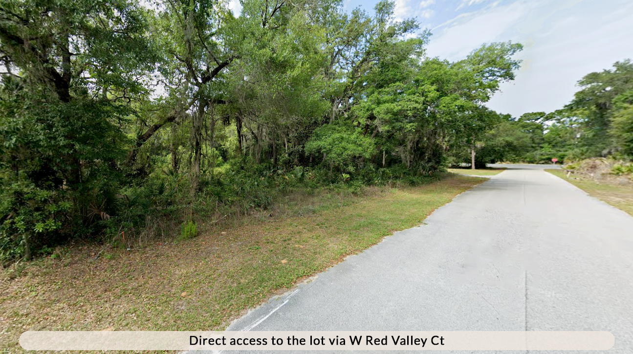 Property view
