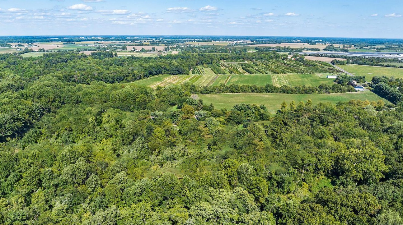 View of the property