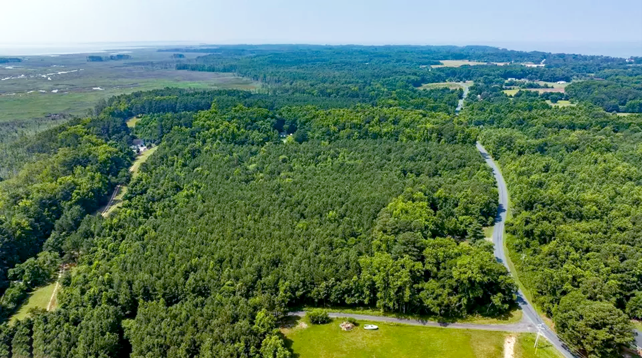 View of the property