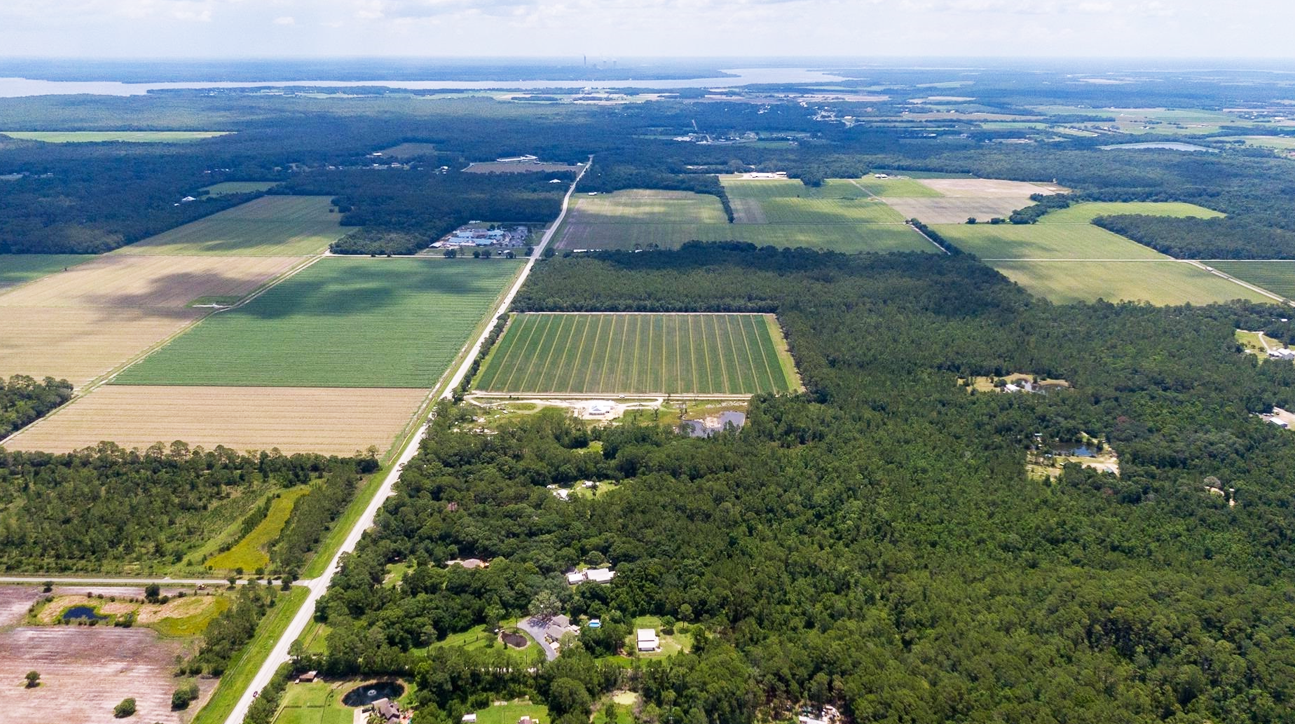 View of the property