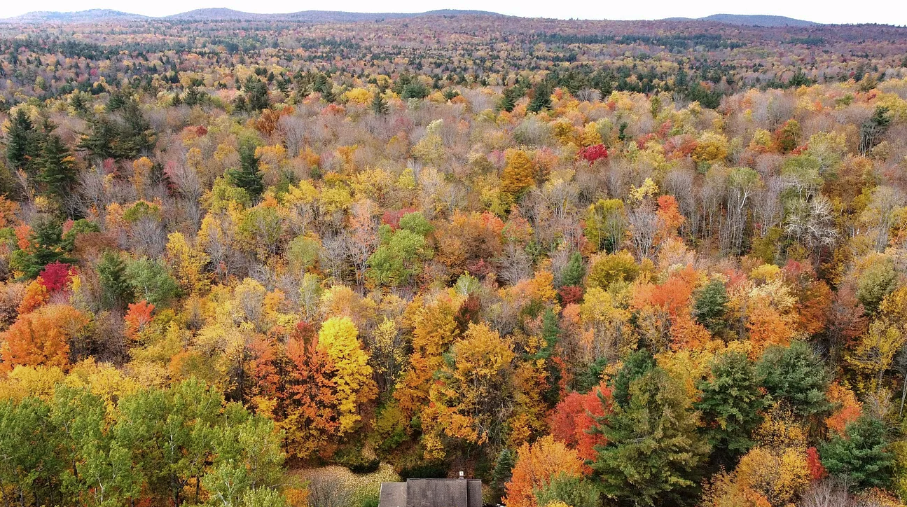View of the property