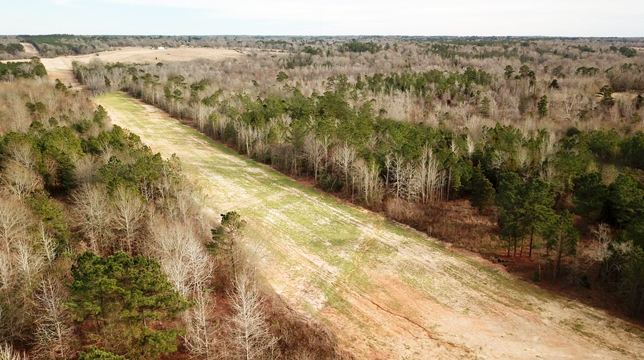 View of the property