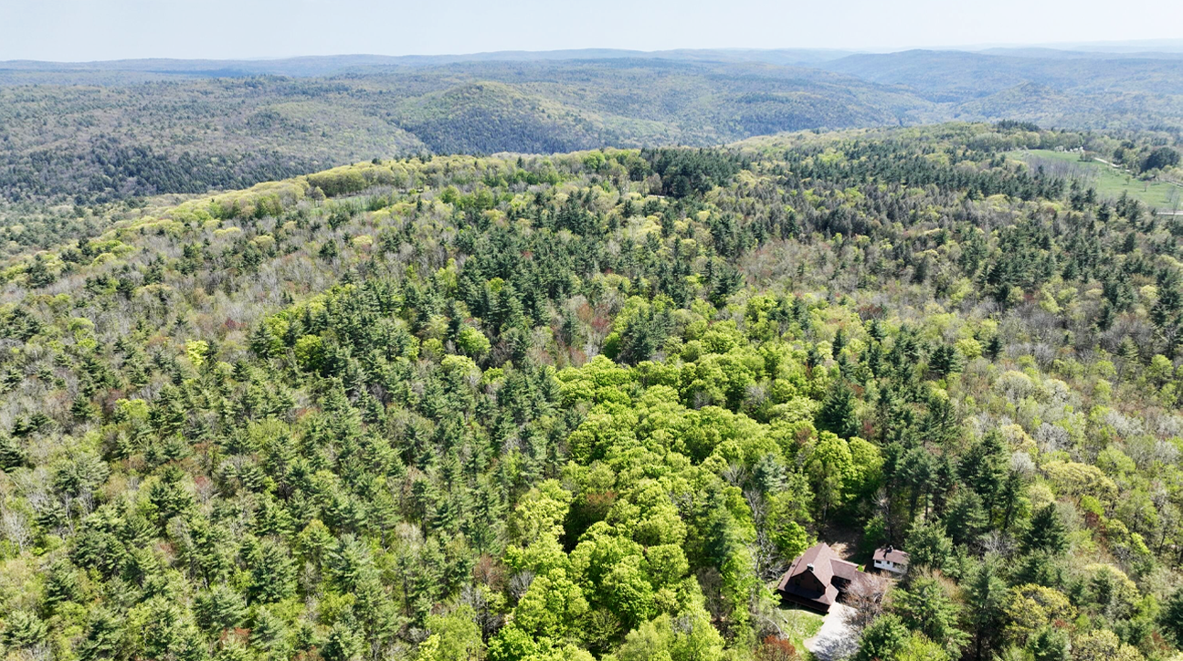 View of the property