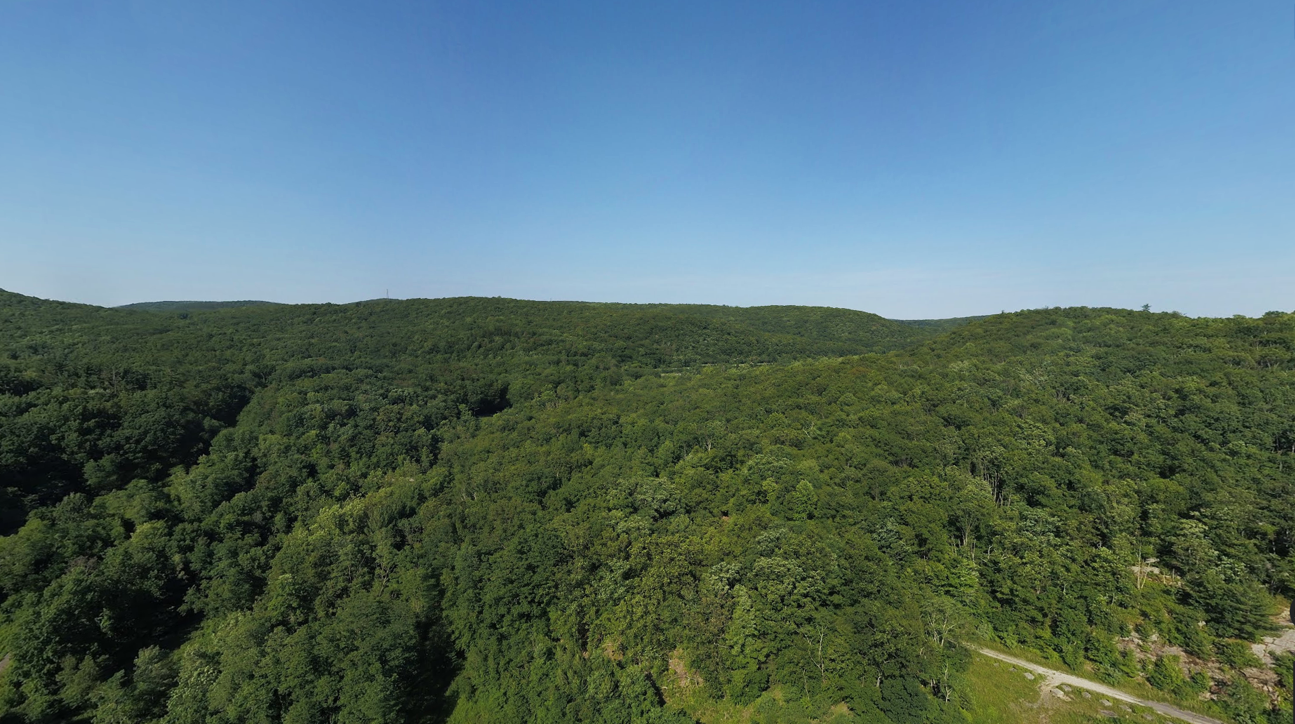 View of the property