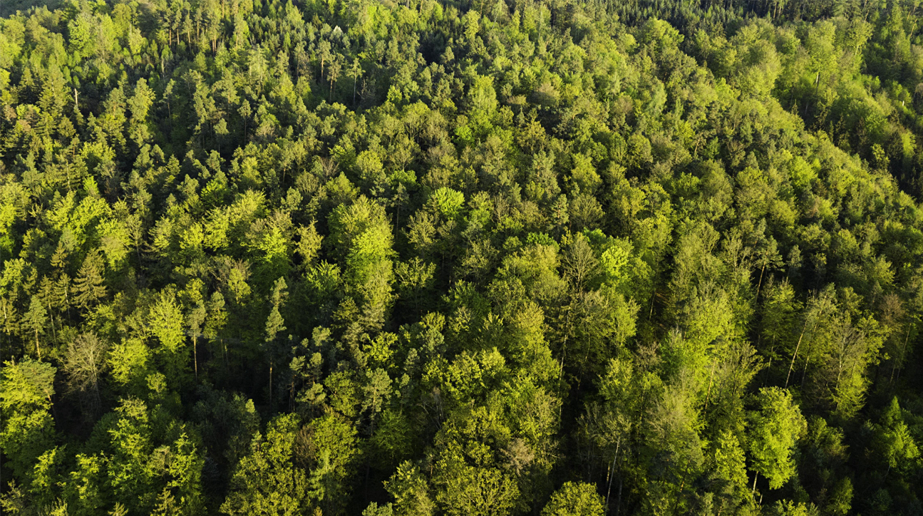 1.03 Acres in Jim Thorpe, PA