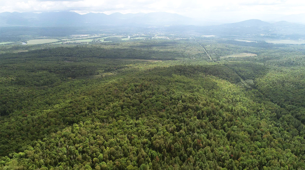 108 Acres of Wooded Land in Essex, VT – Recreation & Timber