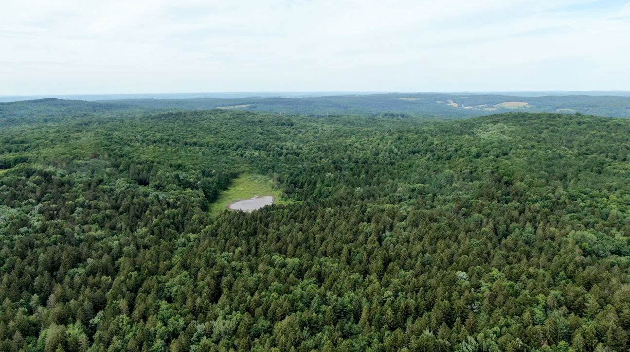 View of the property
