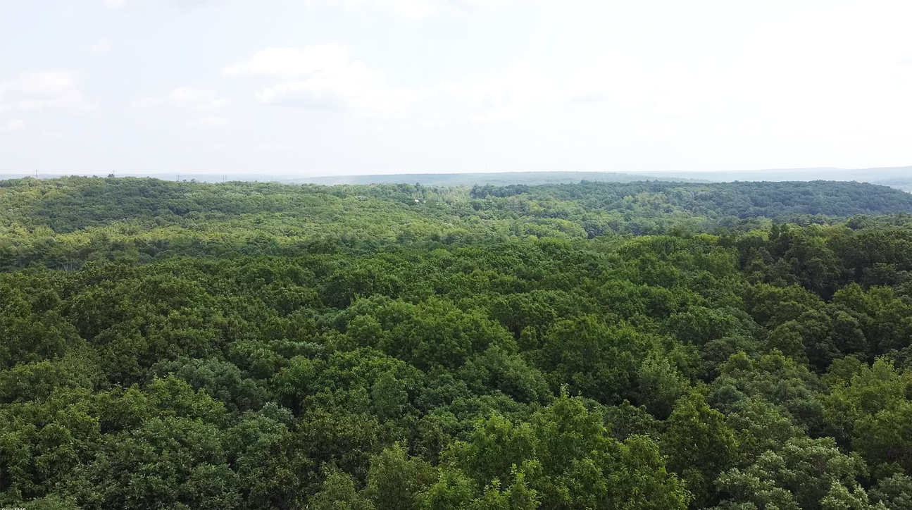 View of the property