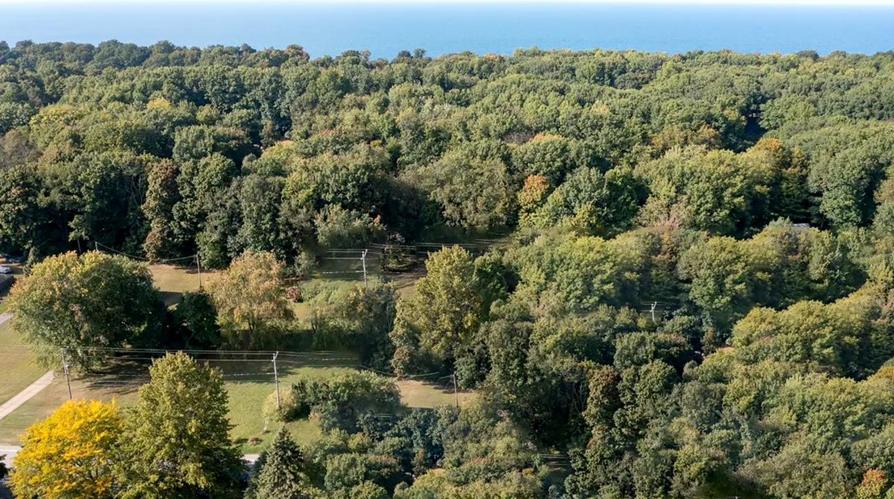 View of the property