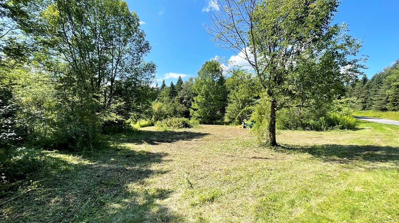 Property view