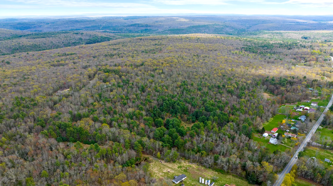 View of the property