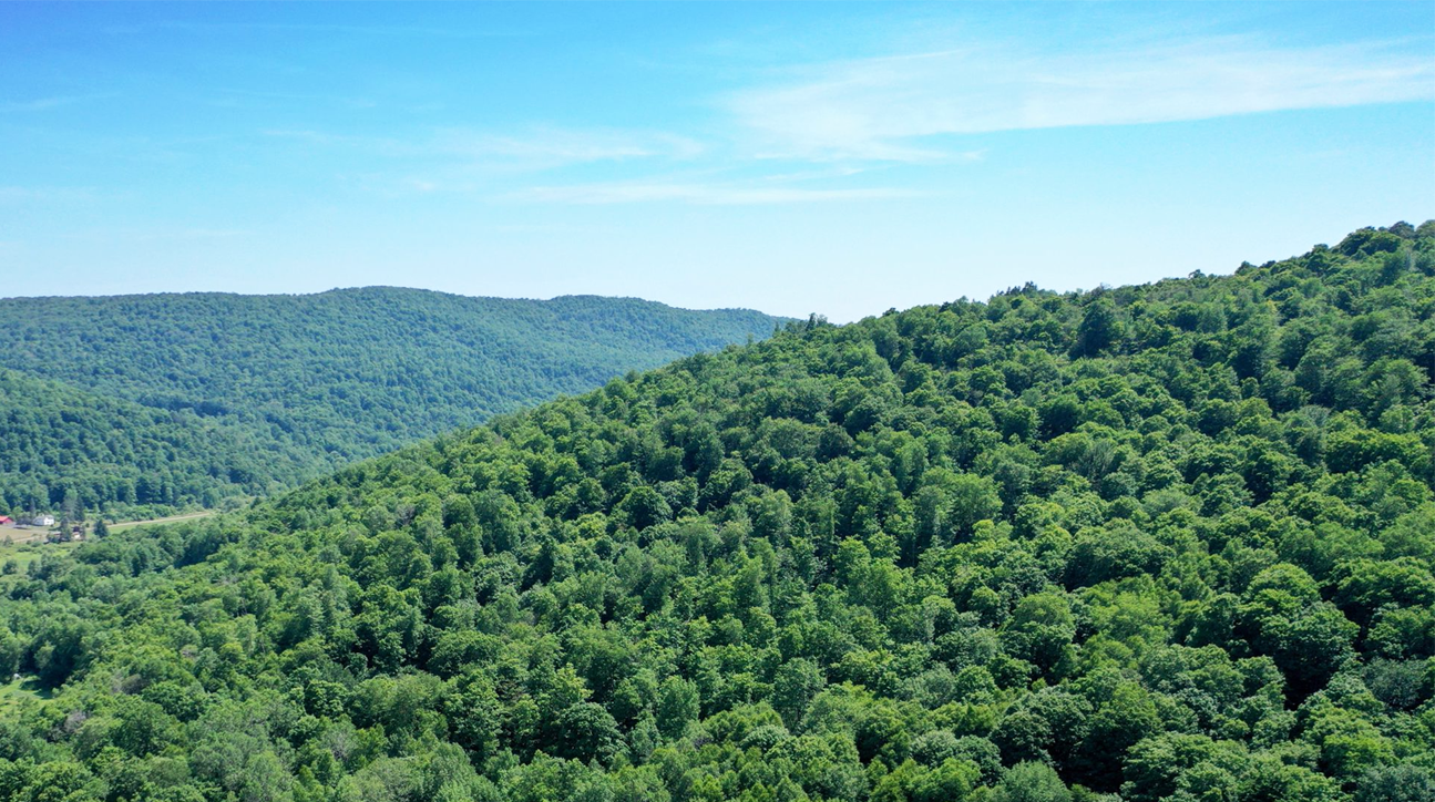 View of the property