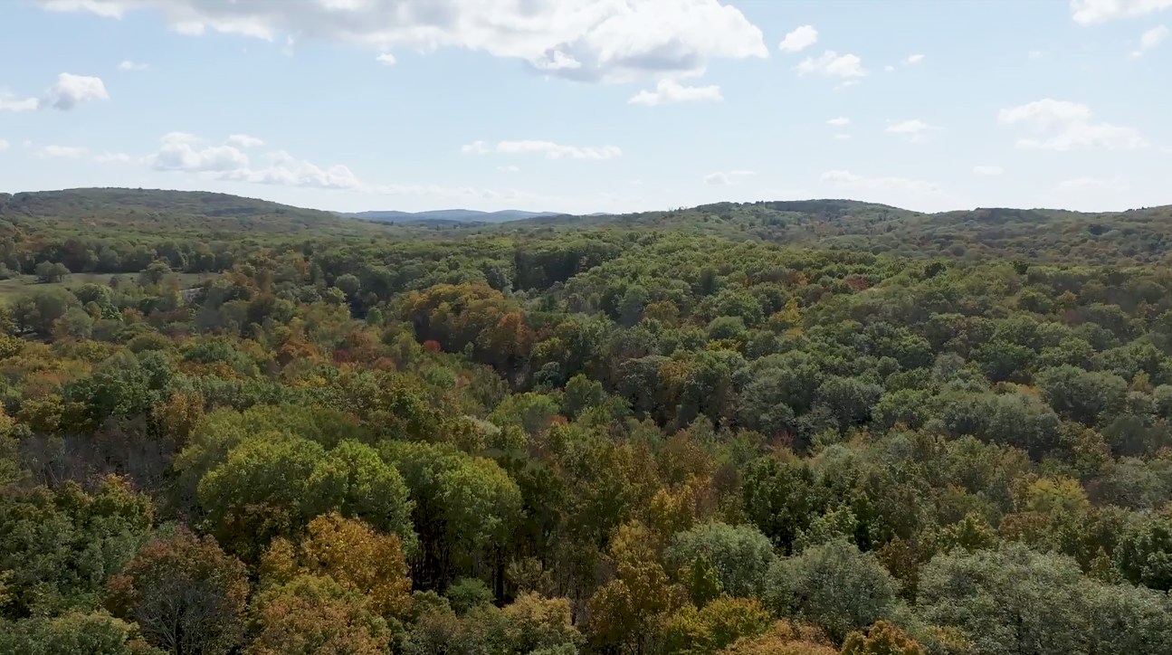 View of the property
