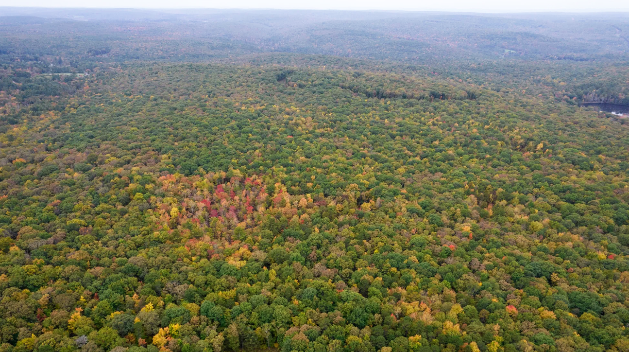 View of the property
