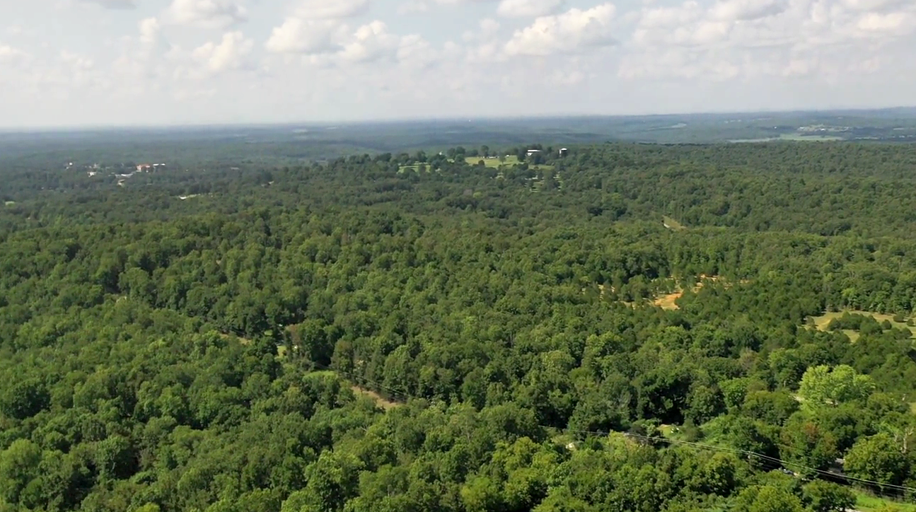 View of the property