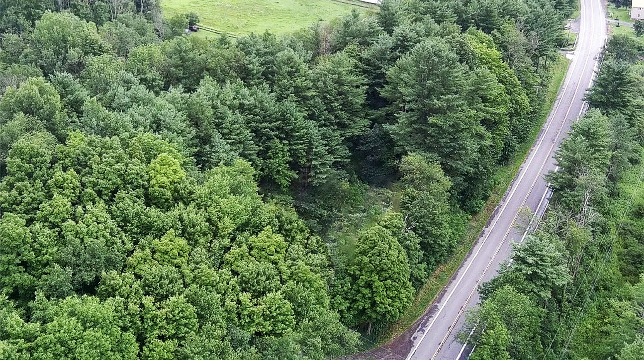 View of the property