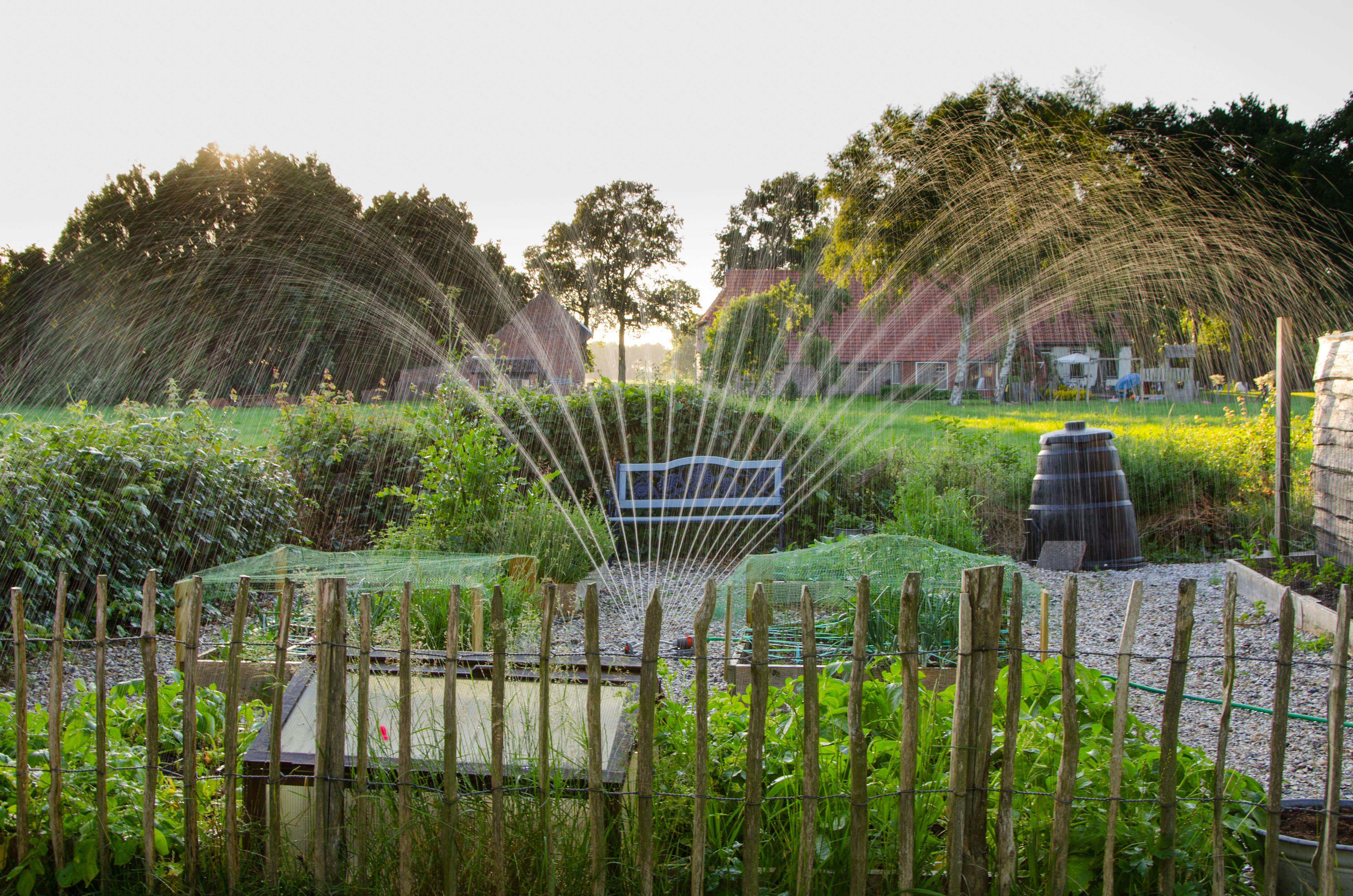 5 Easy Steps to Start Your Own Garden at Home