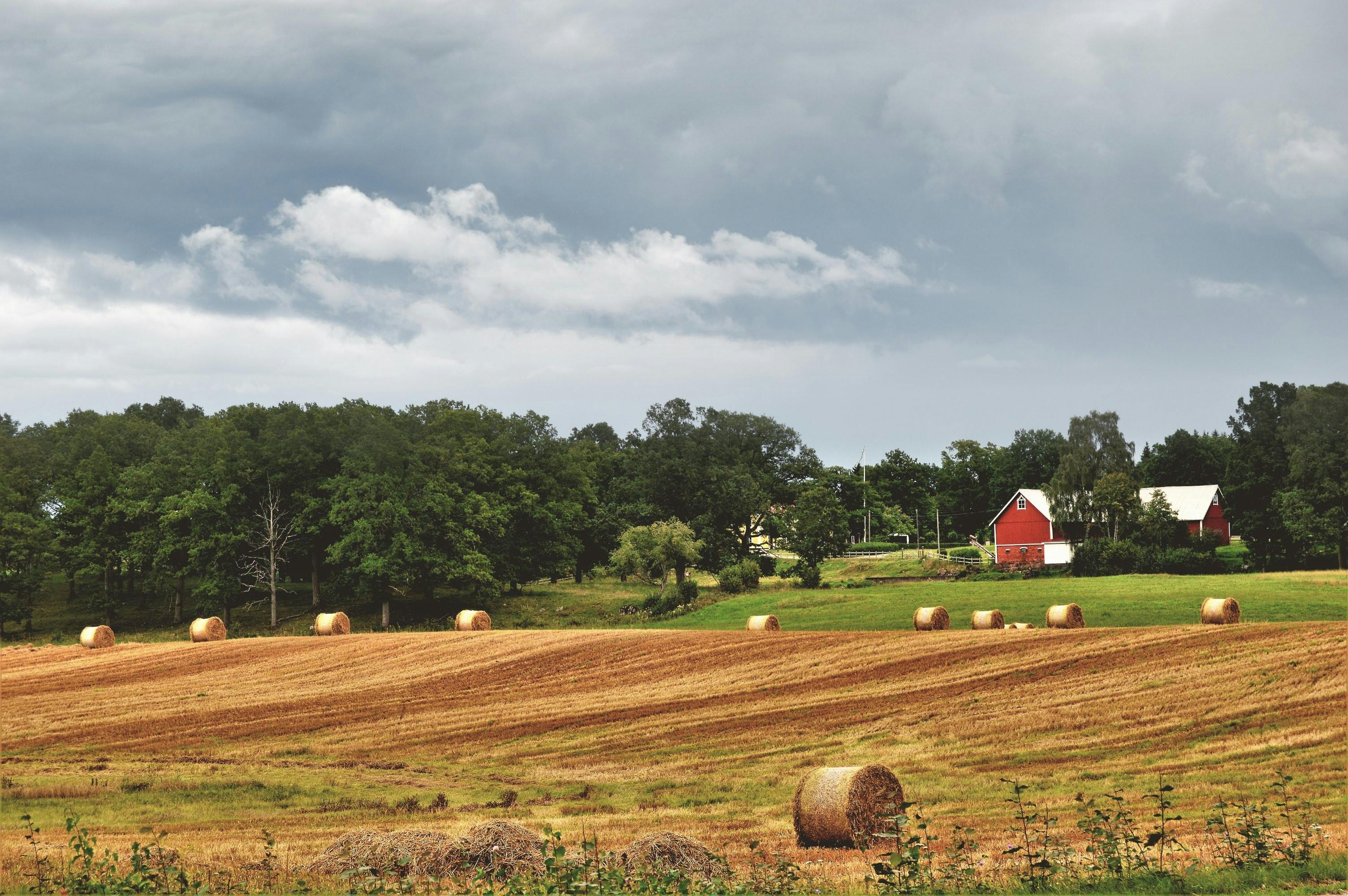 Investing in Farmland: Opportunities and Challenges