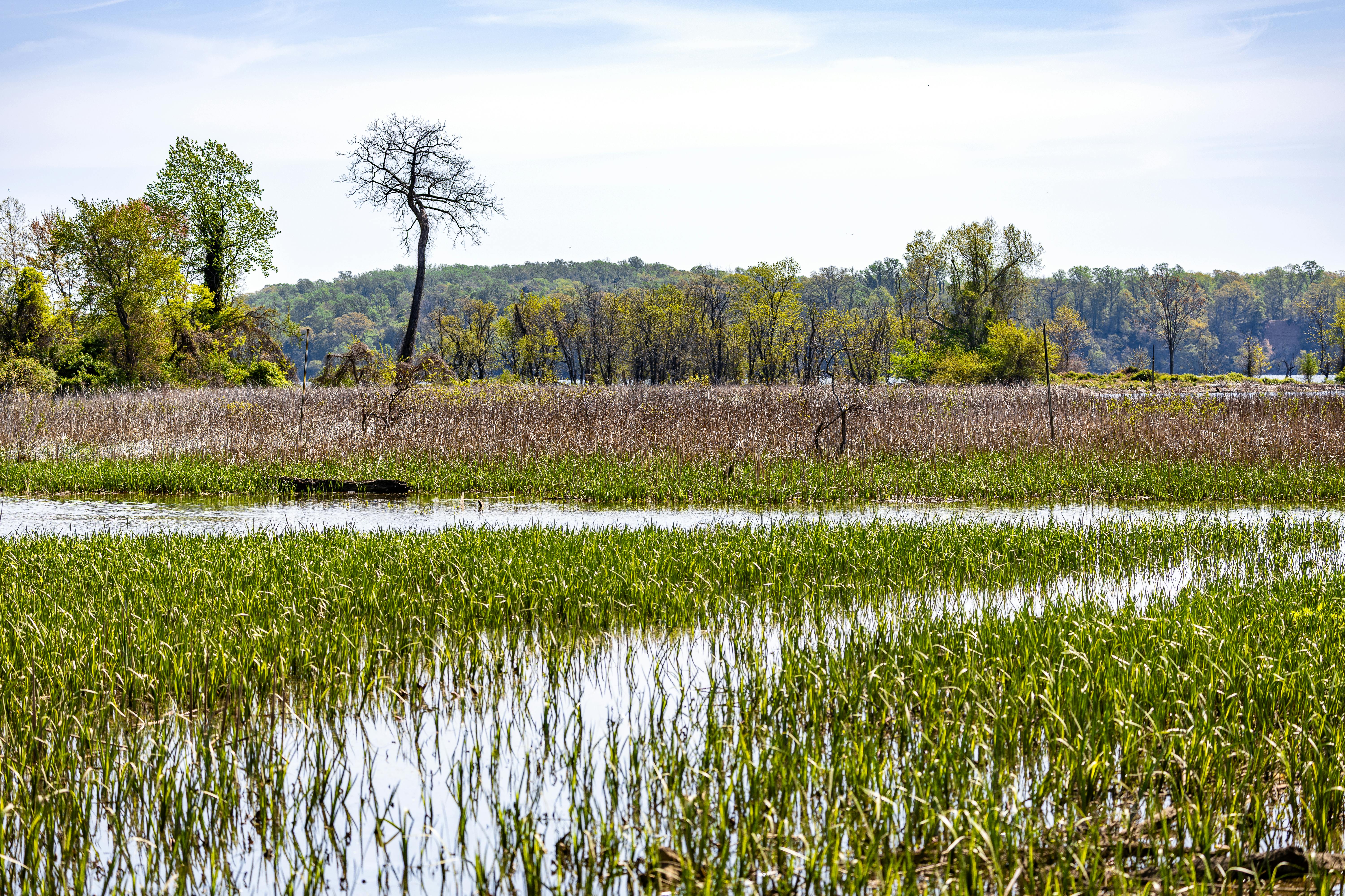 How Landowners are the Key Players in Private Land Conservation