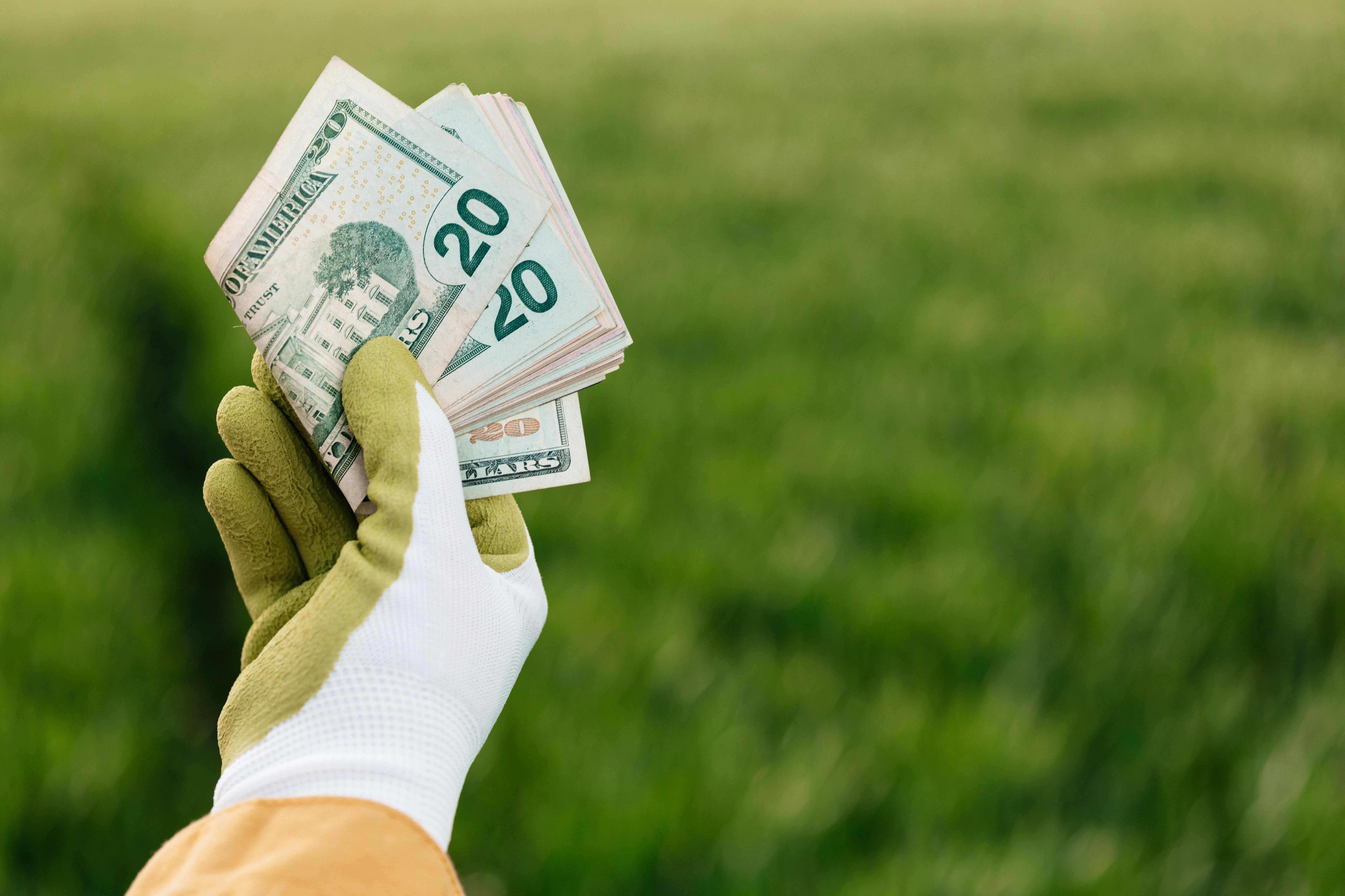 Generating Passive Income: The Power of Land Purchase for Rental Properties