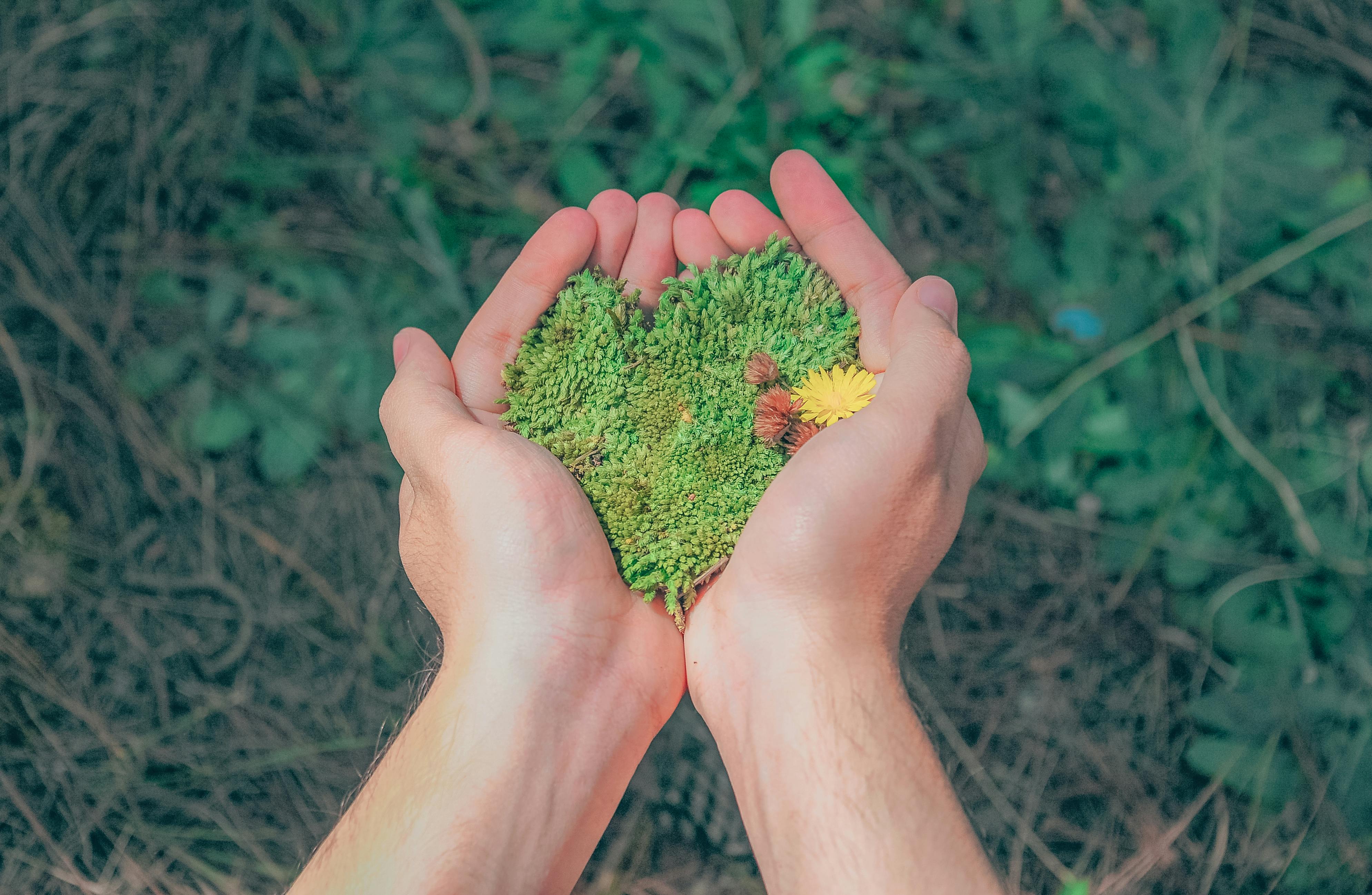 Ecotherapy: How Nature Can Help Improve Your Health