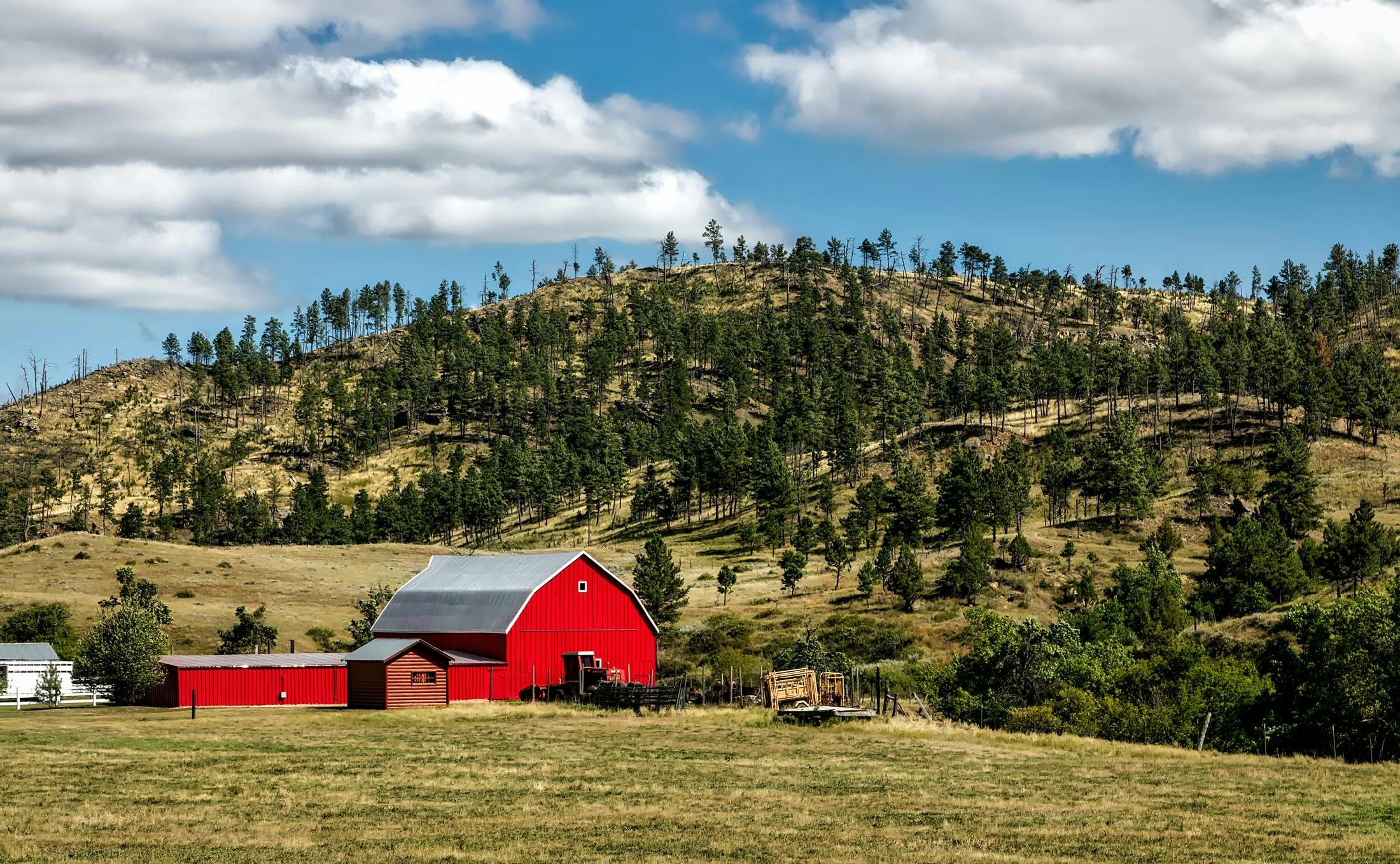 Purchasing Land in New York: A Simple Guide for Beginners