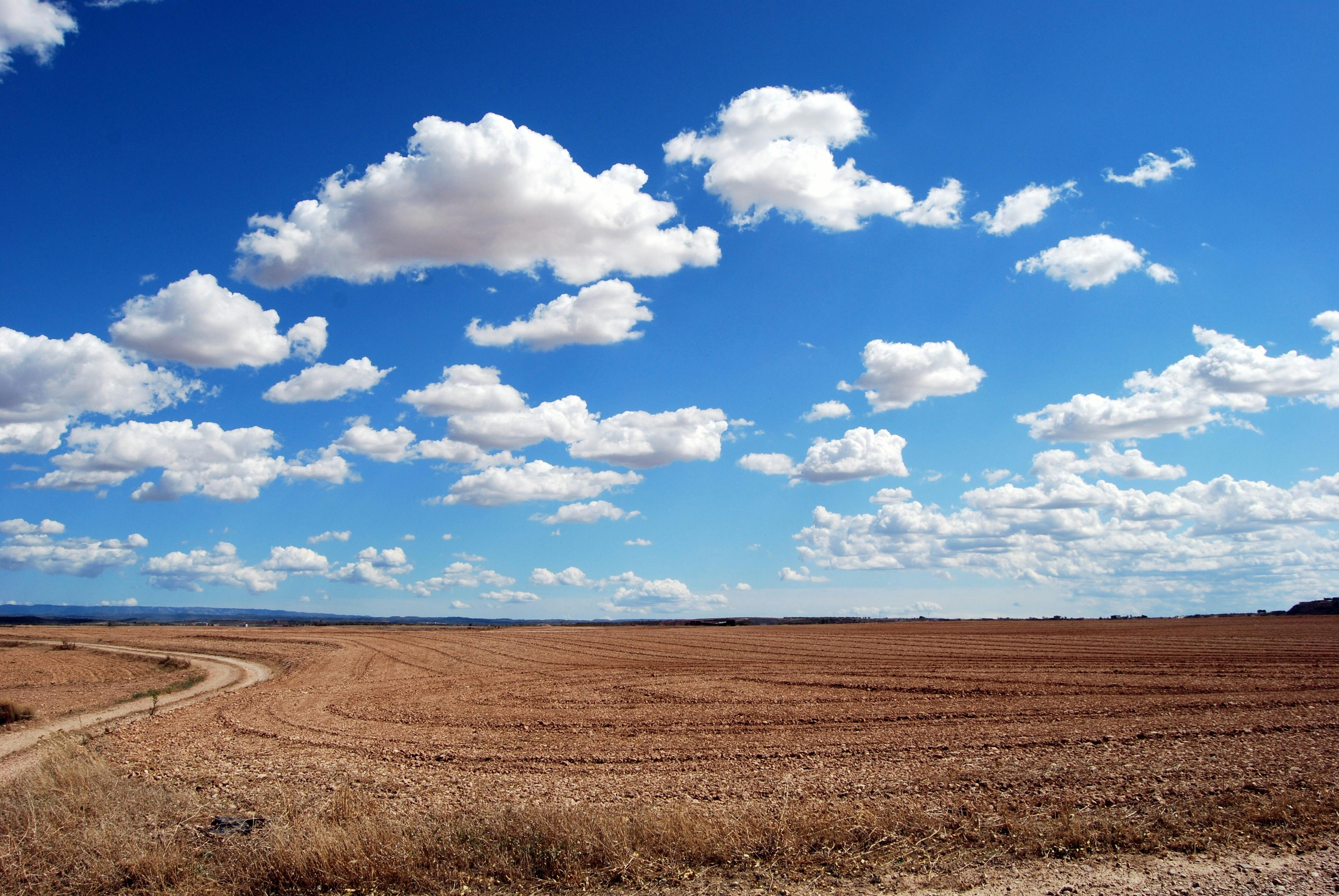 How Land Conservation Organizations are Protecting the Earth