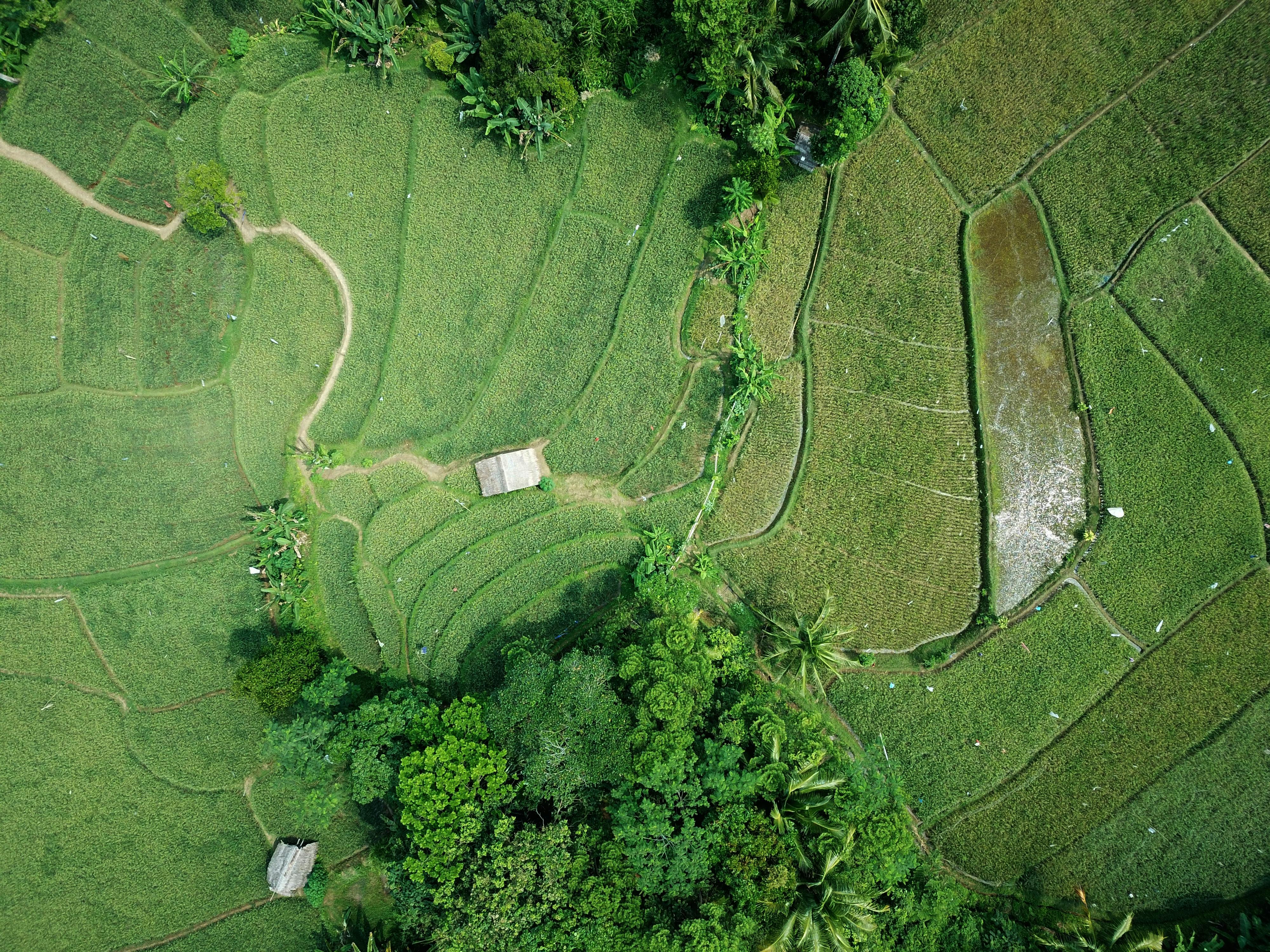 Exploring the Benefits of Land Conservation Grants in Revitalizing Our Earth