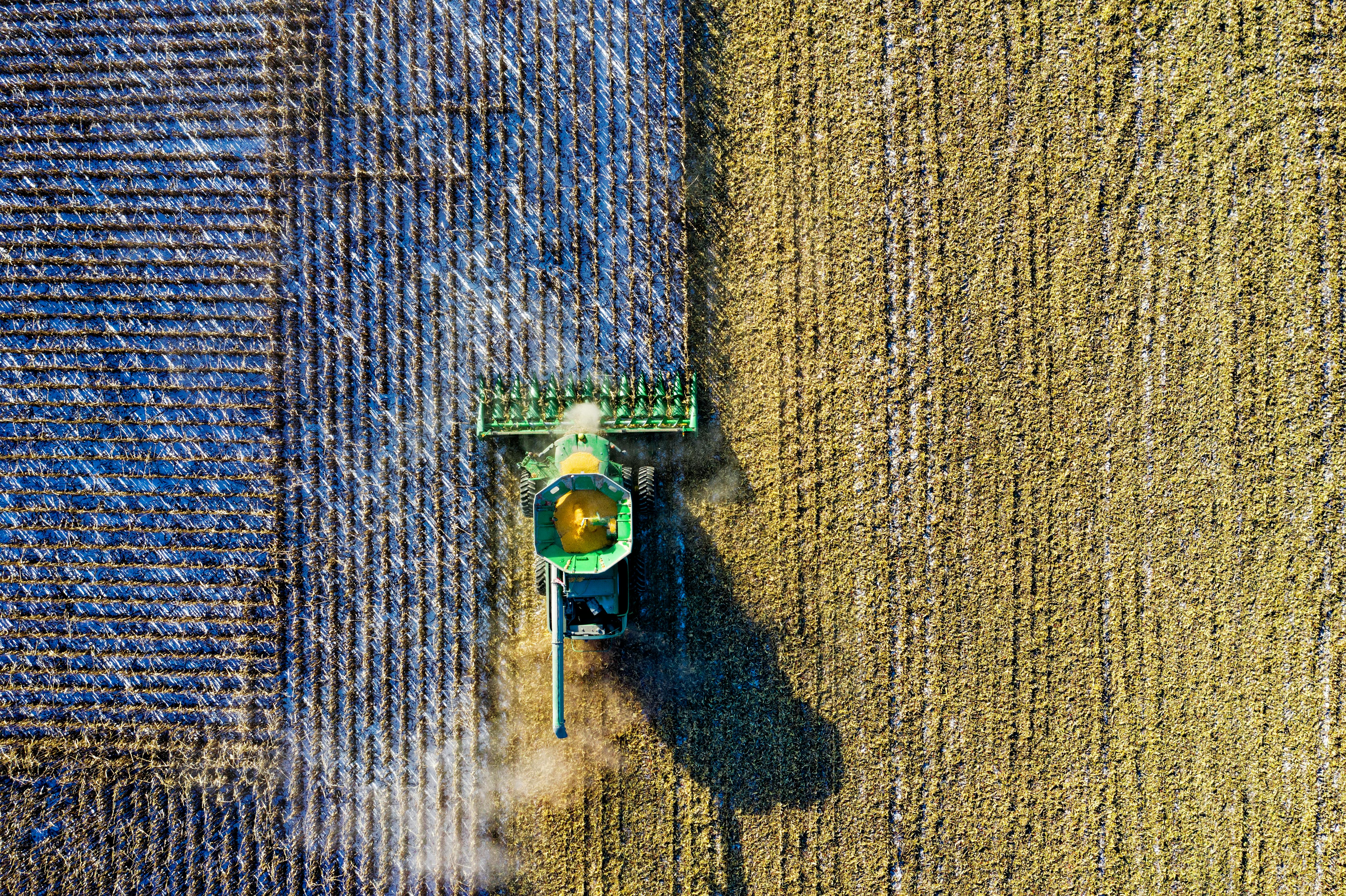 How to Start a Farming Business in Just 3 Steps